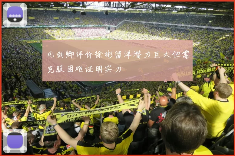 毛剑卿评价徐彬留洋潜力巨大但需克服困难证明实力