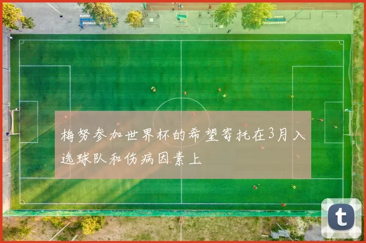 梅努参加世界杯的希望寄托在3月入选球队和伤病因素上