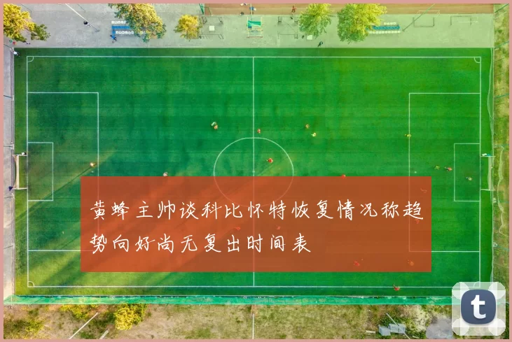 黄蜂主帅谈科比怀特恢复情况称趋势向好尚无复出时间表