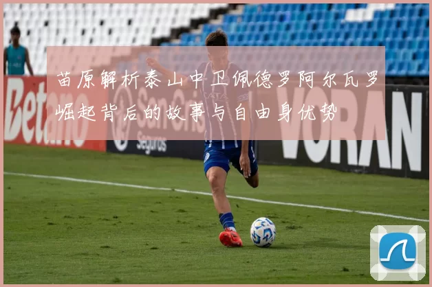 苗原解析泰山中卫佩德罗阿尔瓦罗崛起背后的故事与自由身优势
